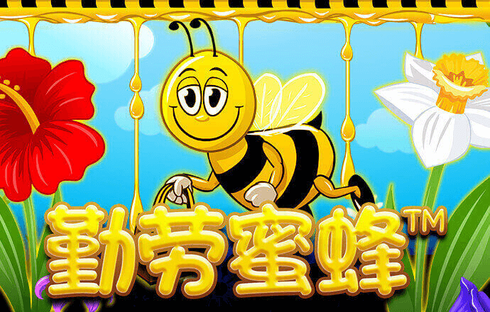 c7c7.cpp老版本